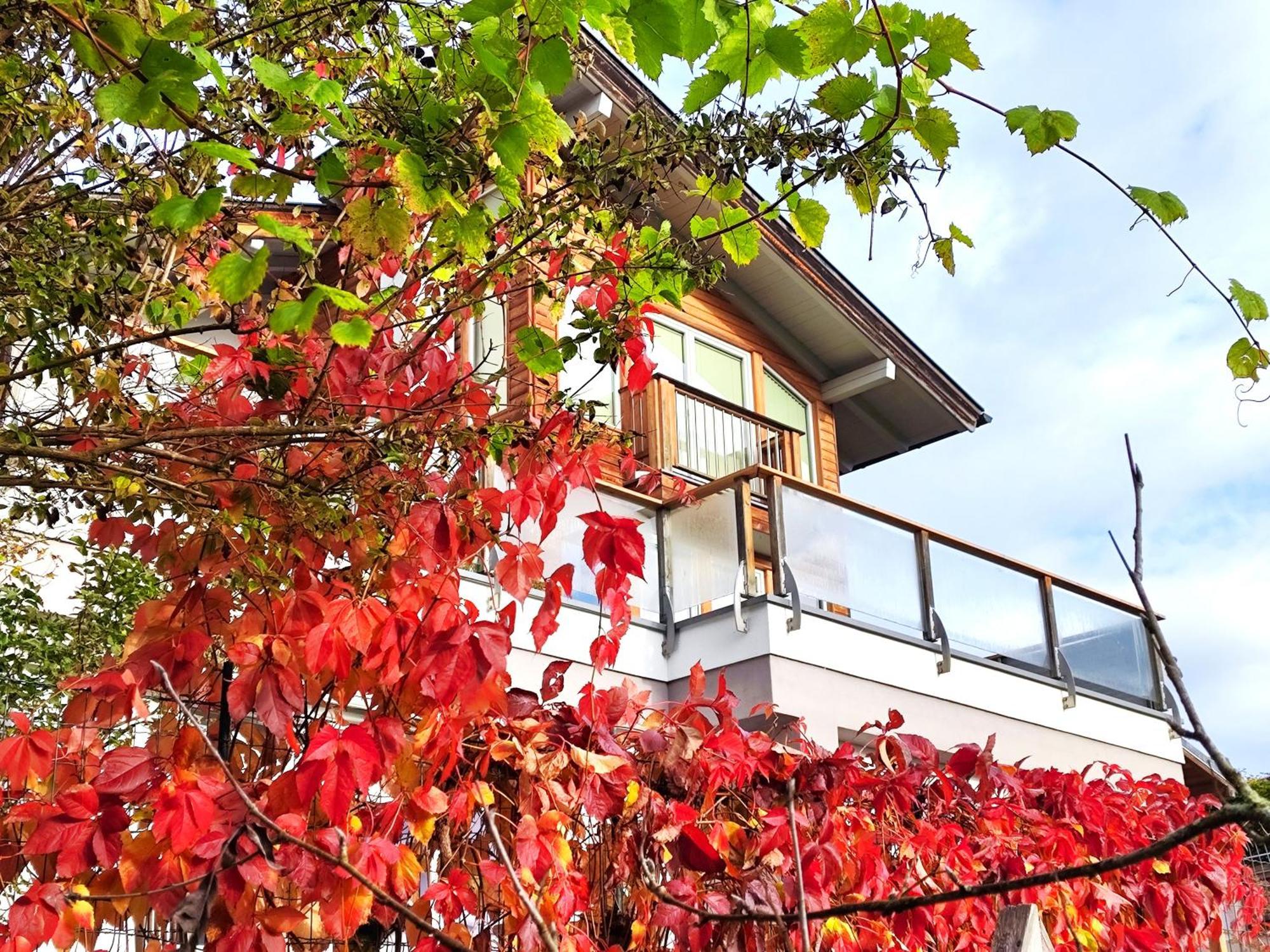 Ferienwohnung Hoellwart - Exclusiv, Ruhige Lage, Panoramablick Bischofshofen Exterior photo